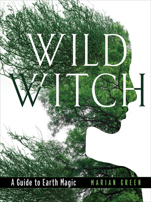 Title details for Wild Witch by Marian Green - Available